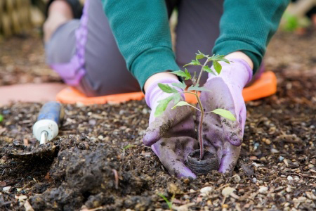 Gardening