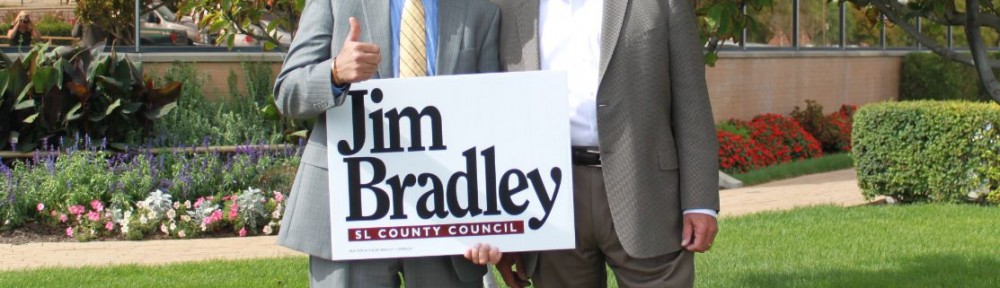 Bradley - Sim