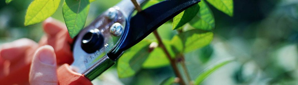 HandPruner