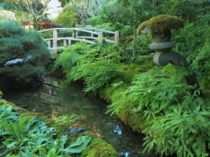 Bridge over the pond in traditional japanese garden desing