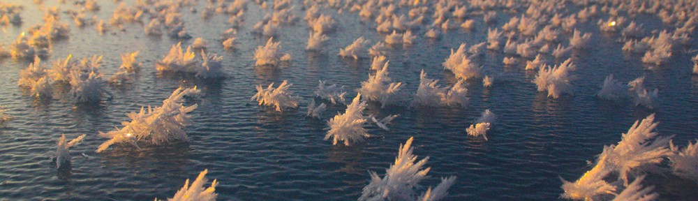 frost-flowers