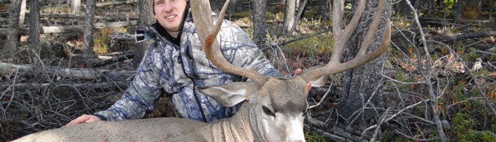 HRO-Mule-Deer-down