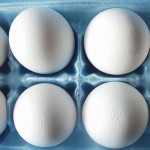 eggs