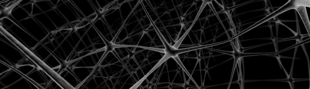 neurons