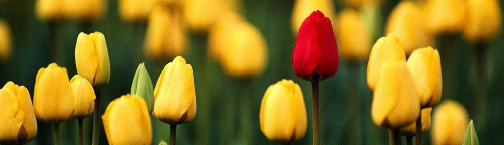 Blooming flower