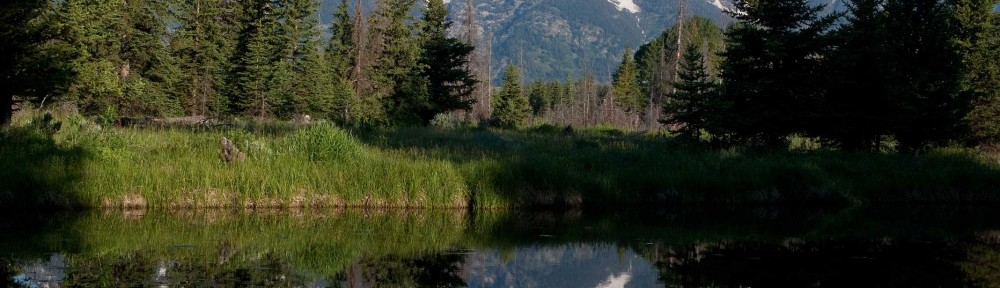 Jackson hole scenery