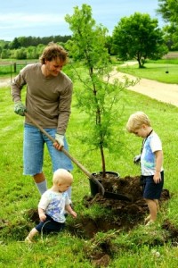 Father and Children Planting Redwood Tree