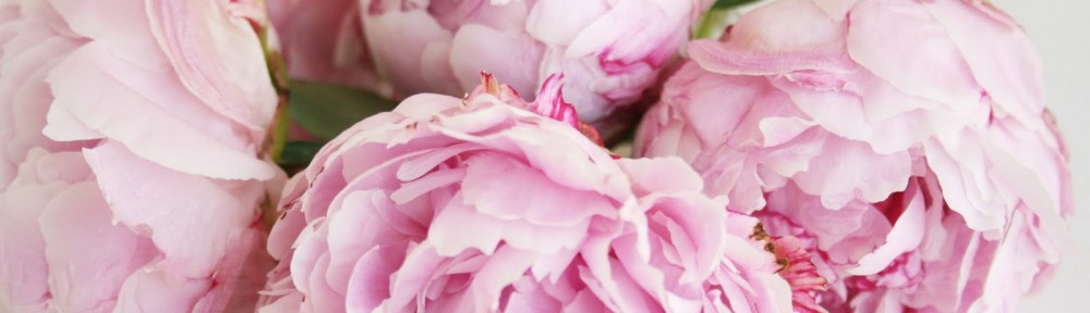 peonies