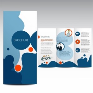 Vector Brochure Layout Design Template