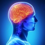 brain power