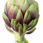 Artichoke on White Background