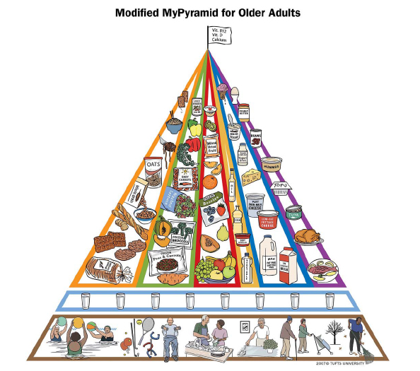 FOOD PYRAMID