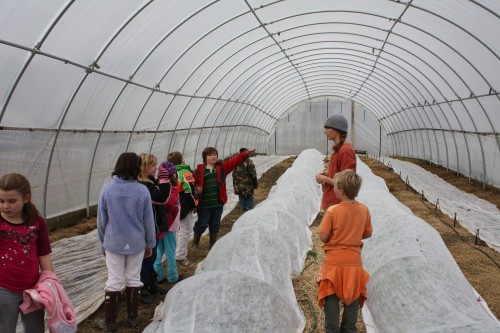 hoophouse
