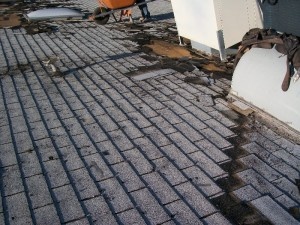 roofshingles