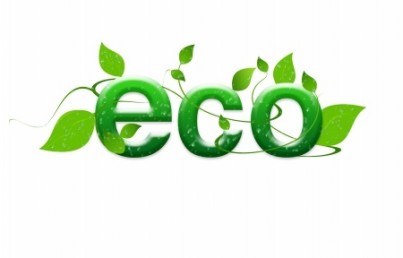 Ecology and sustainable development