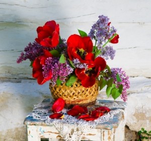beautiful composition of flowers