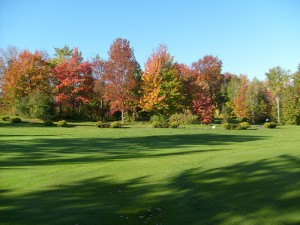 foliage golf