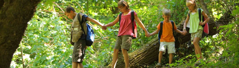 Kids Hiking