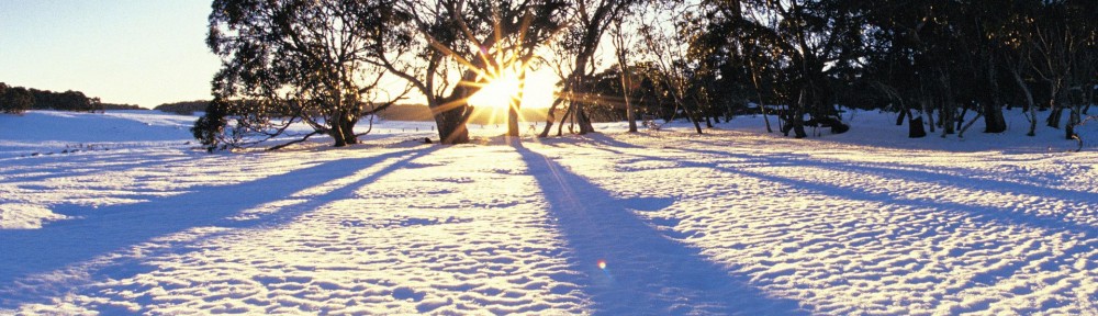 snowy field