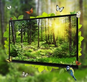 vinylbannerforest
