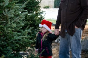 child in santa hat with parent choosing a tree