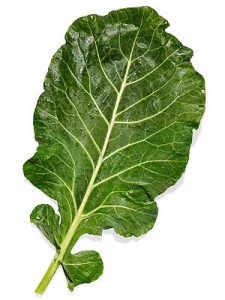 leafy green vegetable
