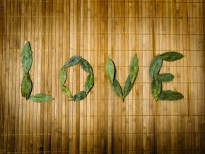 love