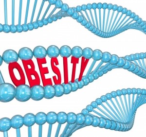 The word Obesity in red letters hidden within a blue DNA strand to illustrate the hereditary nature of fat and the condition of being very heavy