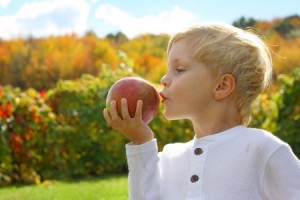 a smart young child who loves healthy apples is holding a red apple and kissing it in front of colorful autumn foliage