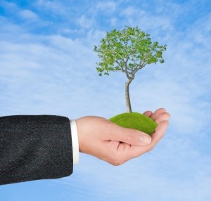 tree growing from pile
