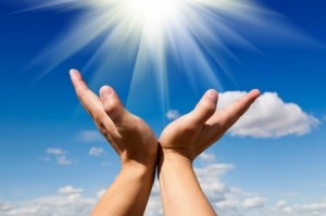 Reach for the sun