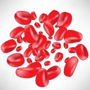 group of blood cells isolated on white