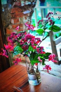 red fresh flowers in a vase