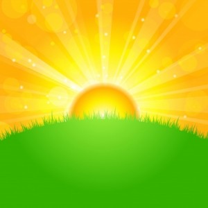 Vector illustration sunrise over field