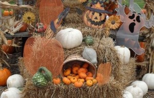 Autumn-Scene-450x288