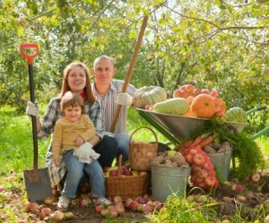 Happy parents and child with harvested vegetables in garden