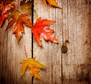 Autumn Leaves over wooden background