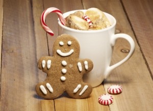 Mug of Hot Chocolate and Toasted Marshmallows Candy Cane