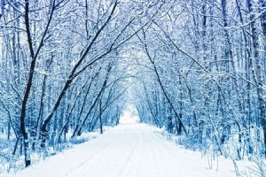 Winter