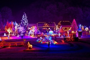 Christmas fantasy
