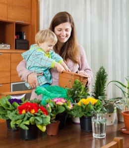 Female gardener with baby transplanting potted flowers at table in home