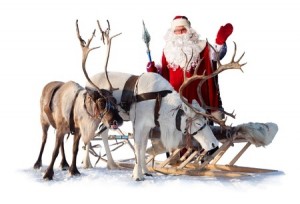 Santa Claus are near his reindeers in harness on the white background