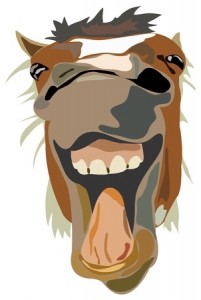 Vector Illustration of the laughing horse isolated