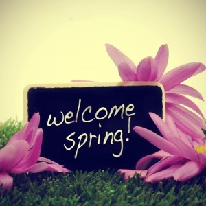 some flowers on the grass and a blackboard with the sentence welcome spring