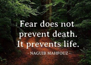 sendcere-fear quote