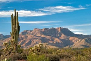 Saguaro and Mazatzal Mountains in Sonoran Desert.