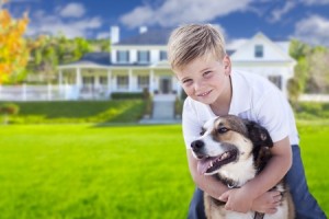 35574897 - happy young boy and his dog in front yard of their house.