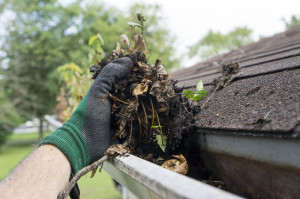 44096729 - cleaning gutters during the summer time.