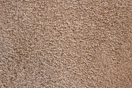 10916636 - detail of soft wool carpet, detailed texture background.