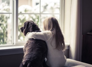 26913727 - little girl and her dog looking out the window.